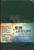 聖經-新普及譯本/NLT