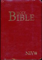 NIV2010-英文聖經 SAF0024R(漢語聖經協會/袖珍版 紅色)